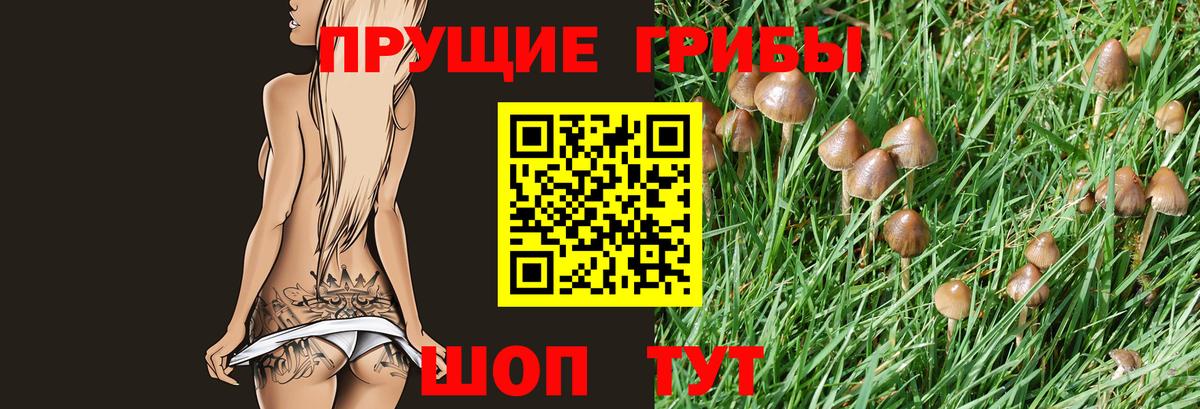 Псилоцибиновые грибы Psilocybine cubensis  Галлюциногенные грибы Psilocybe  Вход с VPN  Лениногорск 